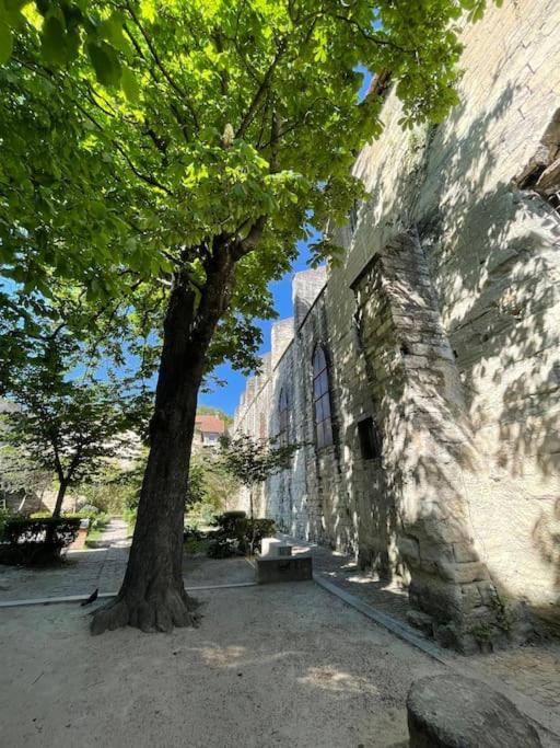 Charmant Studio, Centre Historique, Carmes Avignon Ngoại thất bức ảnh